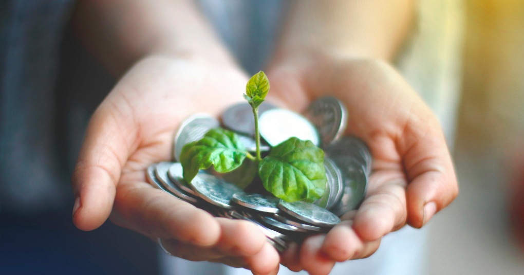 What Investors Look for in Growth Equity Funding Opportunities